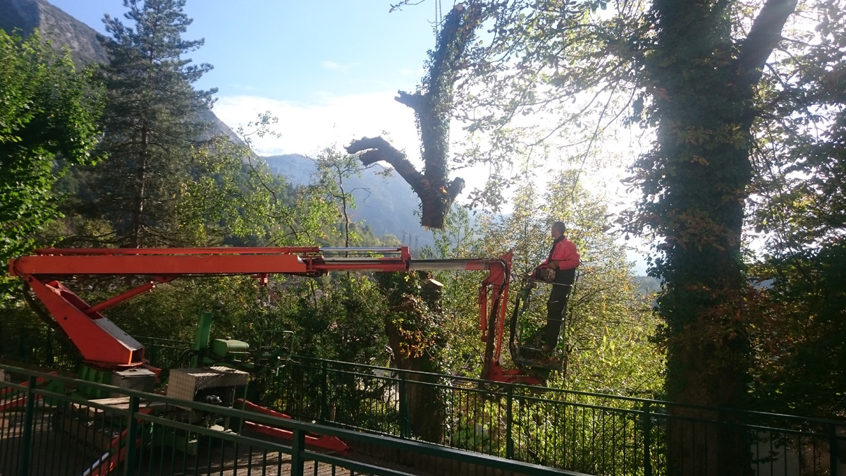 Abattage Grue  Arbre Marronnier Pont En Royans