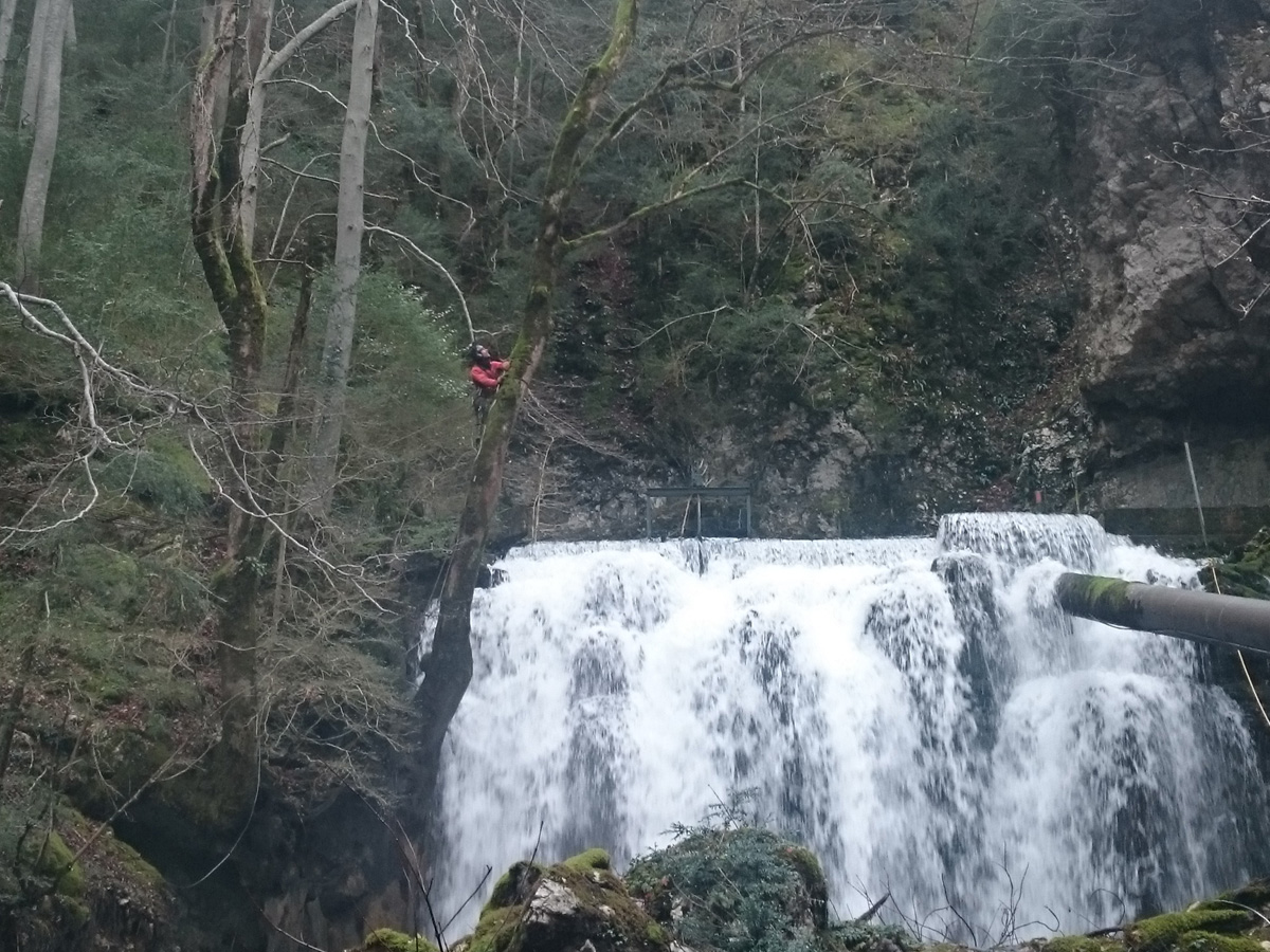 Cascade Demontage Erable