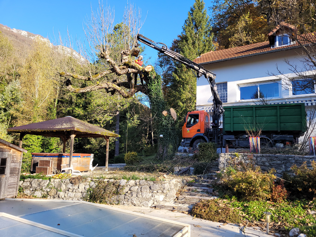 Demontage Arbre Marronnier Saint Egreve