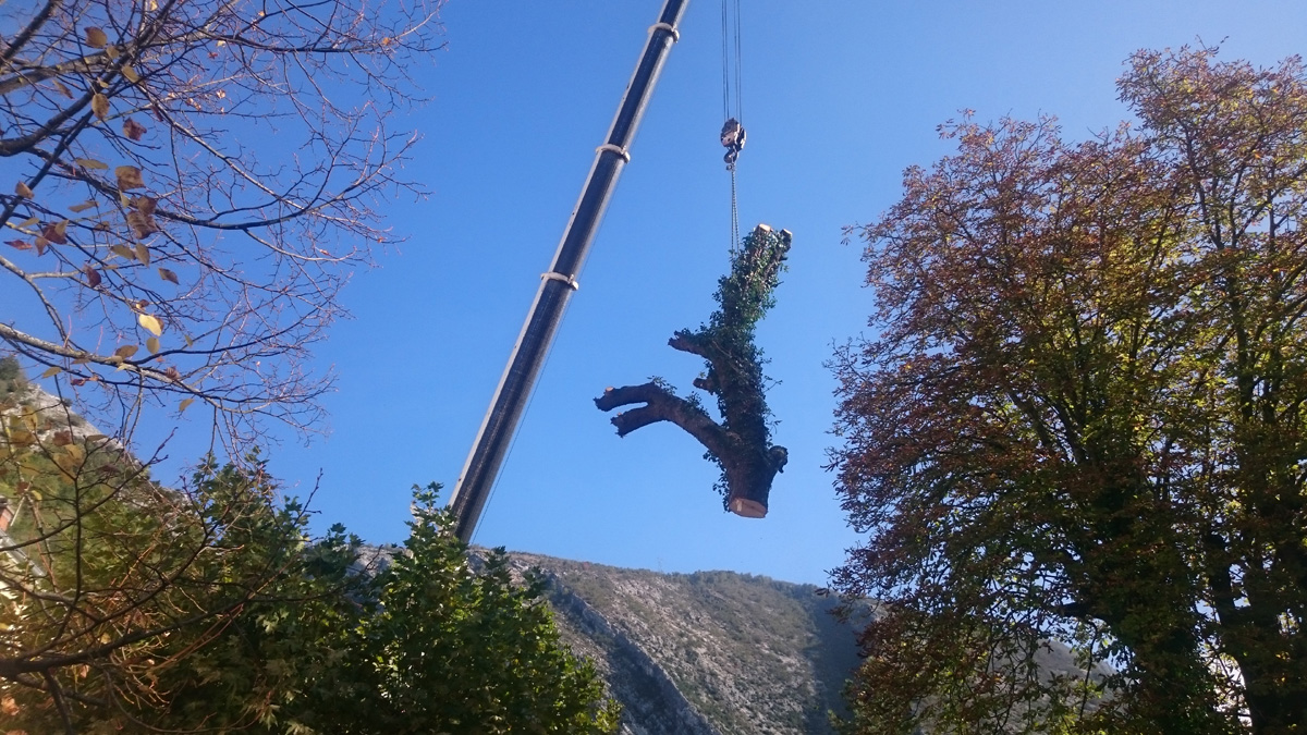Demontage Grue  Arbre Marronnier Pont En Royans