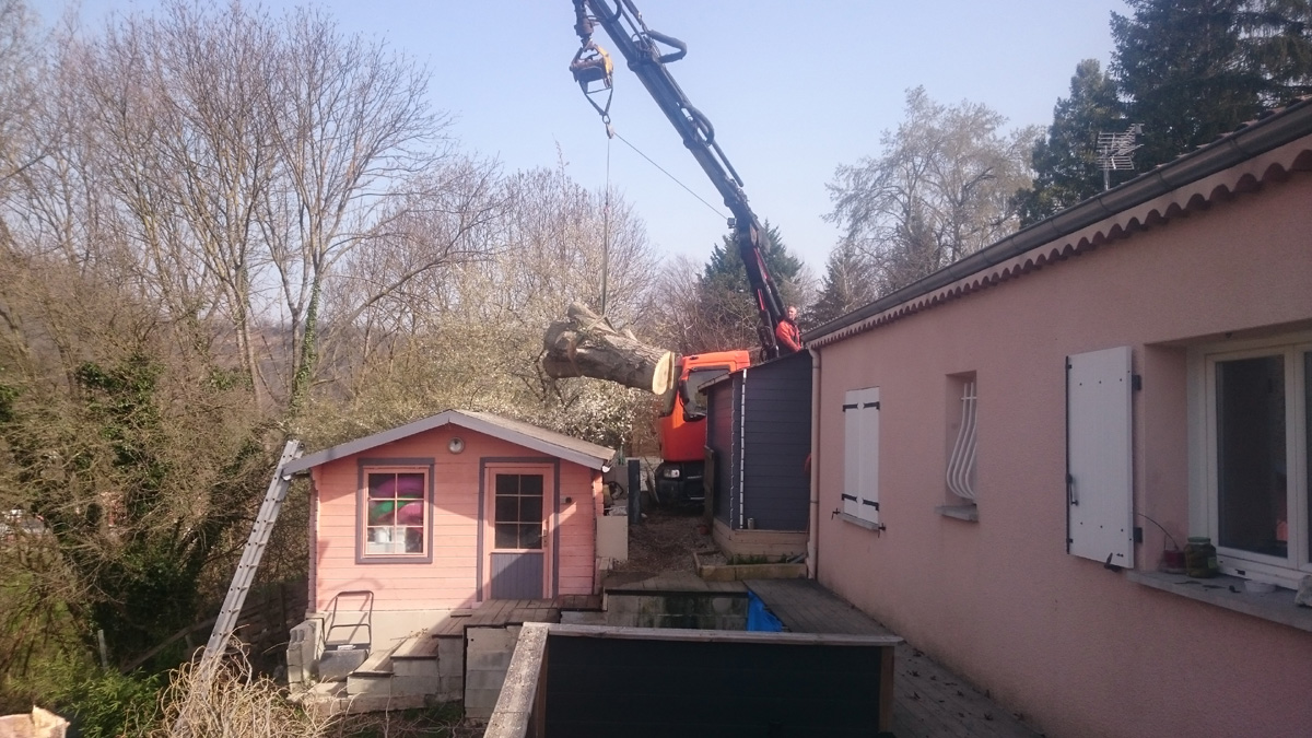Demontage Peuplier Saint Lattier