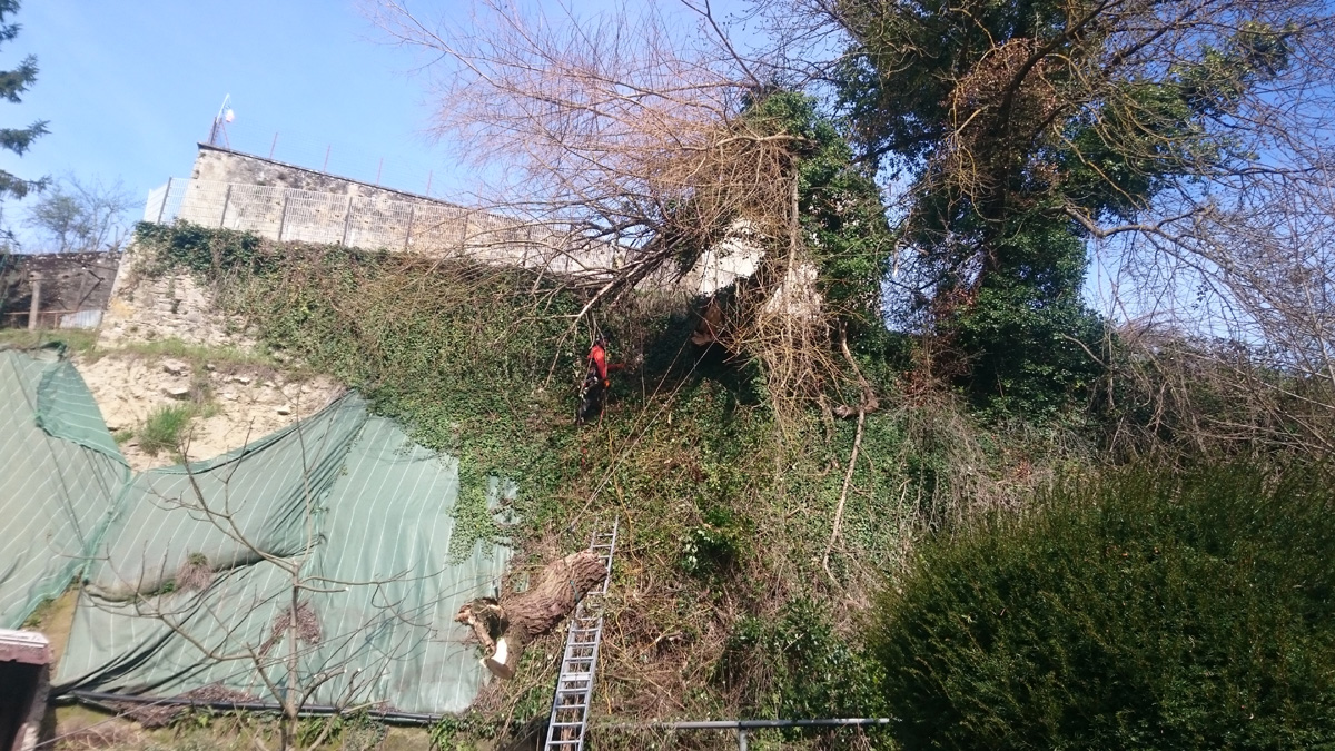 Demontage Saule La Sone Tyrolienne