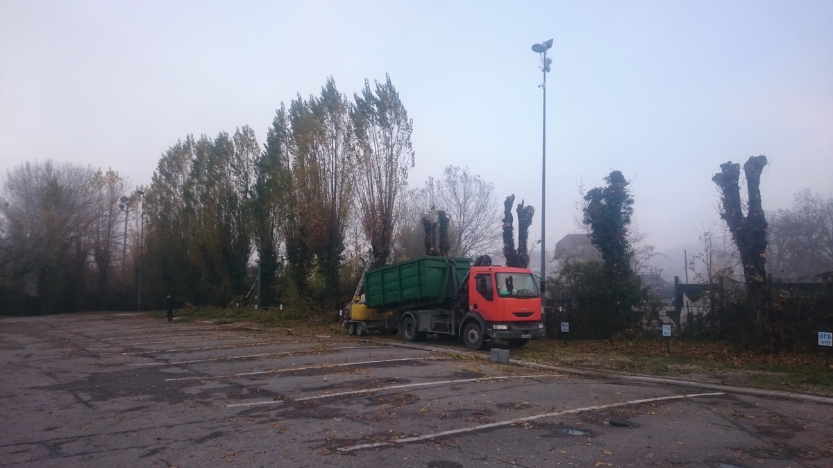 Elagage Alignement Peuplier Cran Gevrier